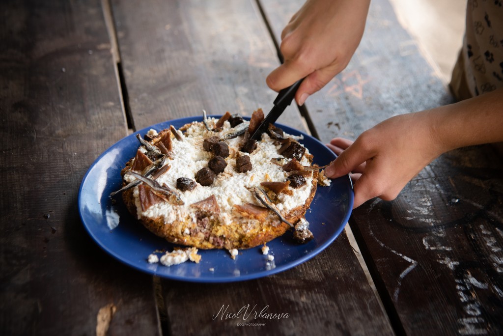 Narodeninová torta pre psíkov