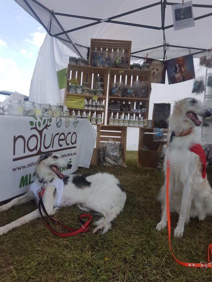 Coursing Holiday Wind Cup 2019 Ranč Bělečko 12-08-2019