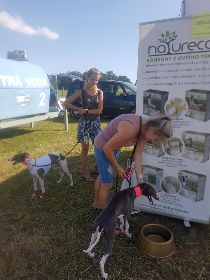 Coursing Holiday Wind Cup 2019 Ranč Bělečko 12-08-2019