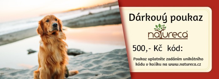 Elektronický dárkový poukaz v hodnotě 500,- Kč