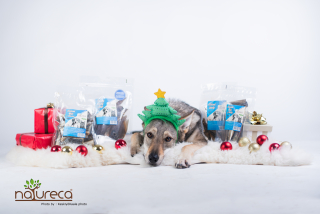 Vánoční DogBox M-Midi pro střední psy-7ks produktů+vánoční čaj pro páničky